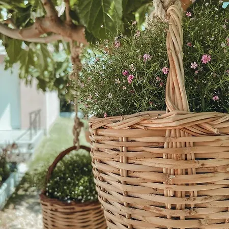 Apartmán Siblings *