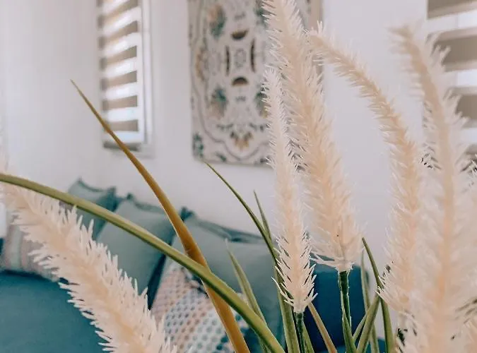 Siblings * 尼基季